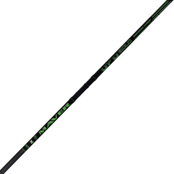 Ufo Bolo - Canna Bolognese - immagine 3